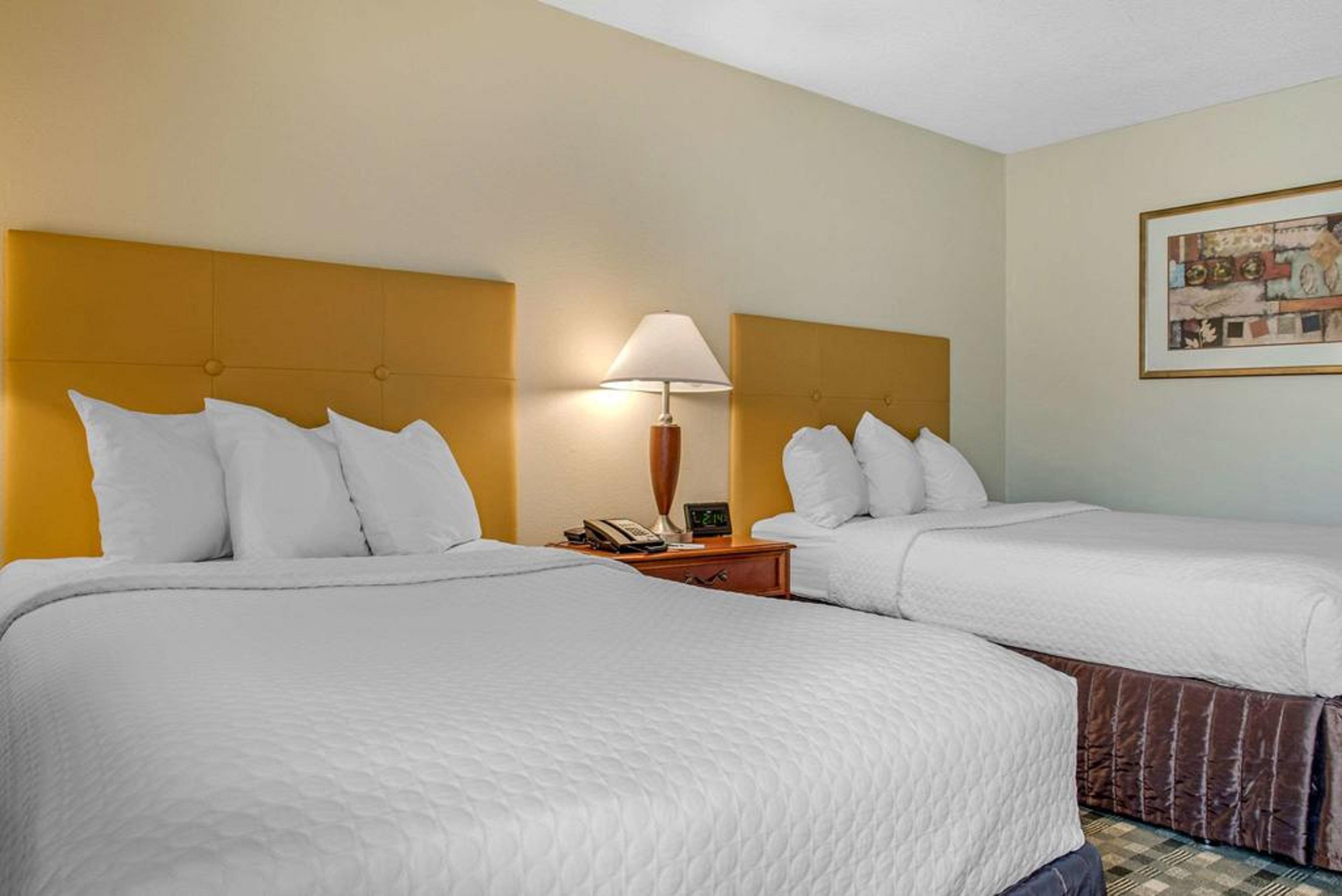 Quality Hotel Conference Center Cincinnati Блу Аш Екстериор снимка
